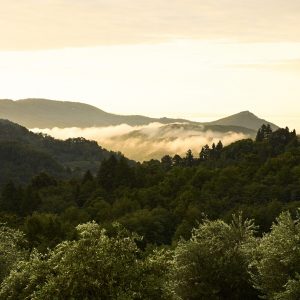 Lecceta JA ud mod veranda 2