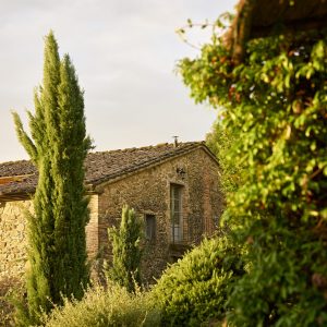 Lecceta fra pakering mod lejlighed